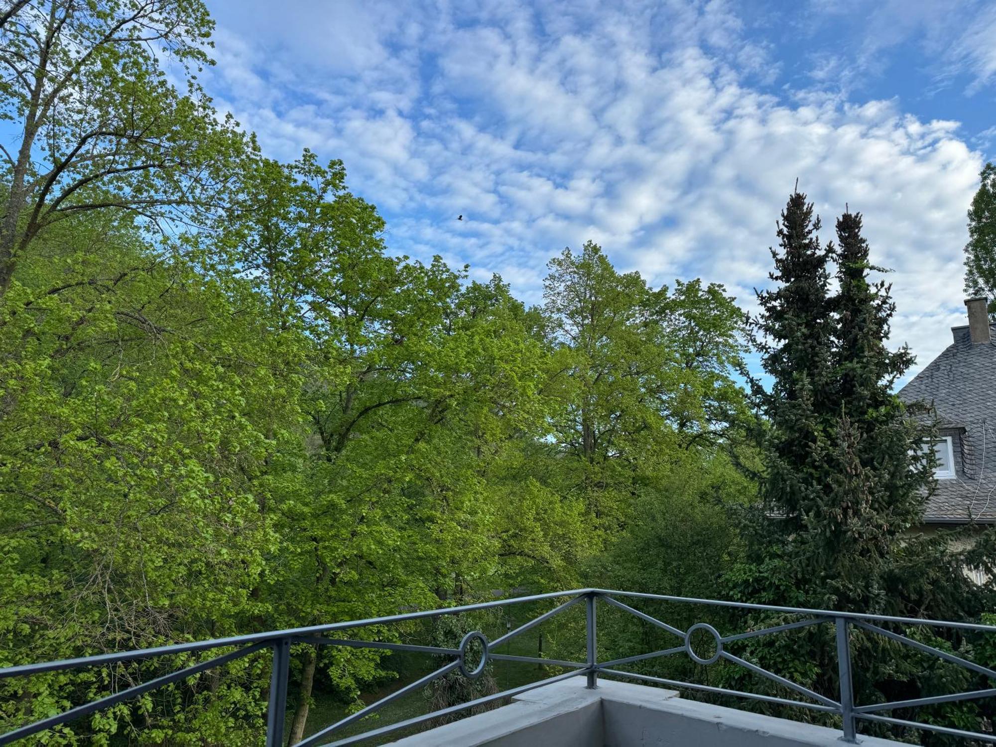 באד קראוצנבאך Apartment Villa Elisa מראה חיצוני תמונה